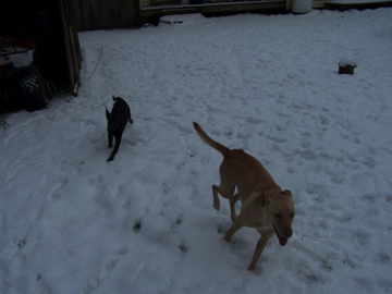 Abby & Roxy